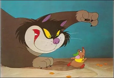 Comment s'appelle le chat ?