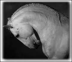 Sous ma robe blanche, ma peau est noire, qui suis je ?