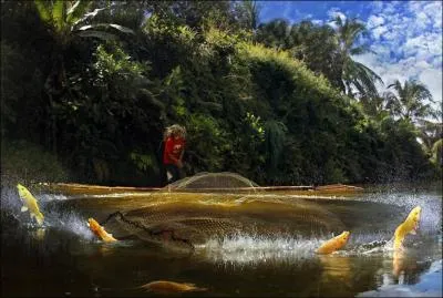 Et comment appeler le filet de celui-ci ?