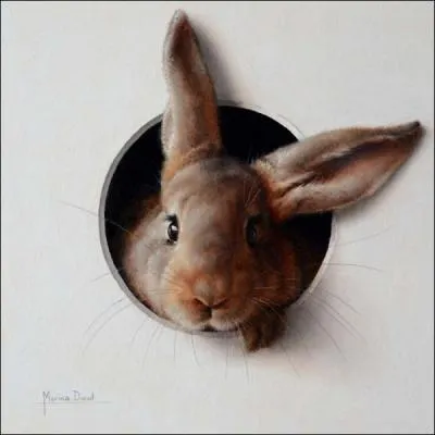 Le lapin peut-il apprendre des tours en jouant ?