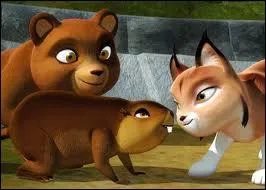 Quel est ce dessin anim ?