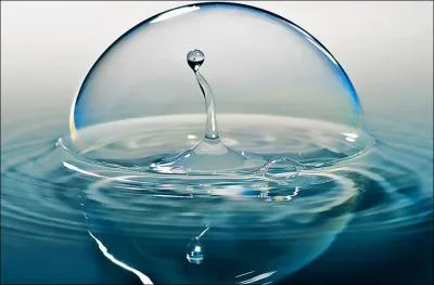 Quel animal vit sous l'eau, dans une bulle d'air ?