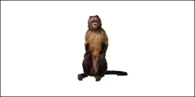 Que vole Dexter à Larry ?