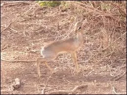 A peine visible sur la plaine !