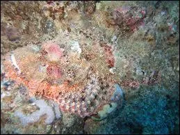 Empoisonnant et invisible !