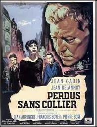 ... ... perdus sans collier