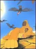 Qui sauve Simba dans le dsert ?