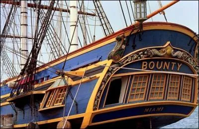 Quand les mutins du Bounty sont arrivés sur l'île de Pitcairn en 1789, pourquoi le capitaine Fletcher Christian a-t-il décidé de brûler le navire ?