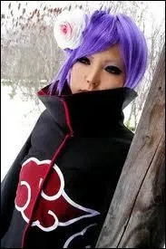 Quel est ce cosplay ?