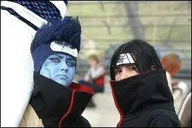 Qui sont ces cosplays ?
