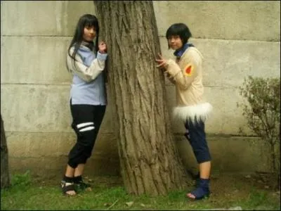 Qui sont ces cosplays ?