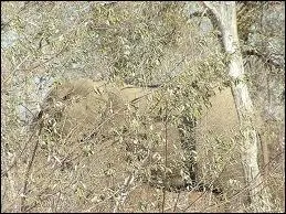 On aimerait bien l'y voir ... un peu mieux !