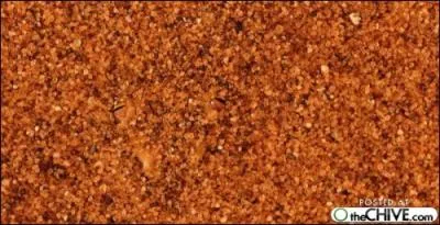 Alors-l, accrochez-vous, c'est un prdateur du dsert embusqu !