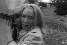 Quel est ce film de George A Romero ?