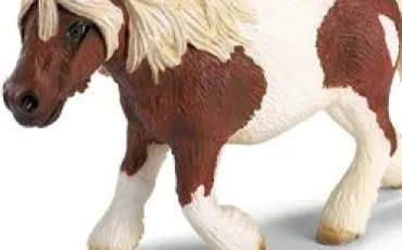 Quiz Poneys