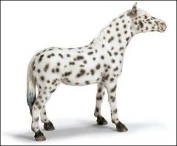 Quelle est cette race de cheval ?