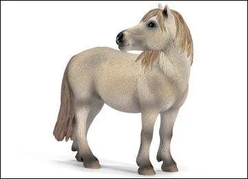 Quelle est cette race de cheval ?