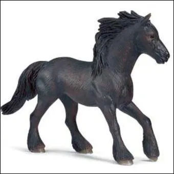 Quelle est cette race de cheval ?