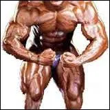 Le muscle sartorius est un muscle se situant au niveau...