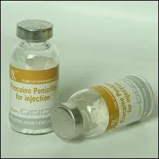 Qui a dcouvert la pnicilline ?