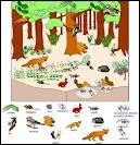 Comment s'appelle cette unit fondamentale qui est forme par l'association d'une communaut d'espces vivantes et d'un environnement physique ?