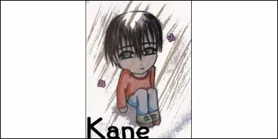 De quelle origine vient le prénom Kane, que l'on fête le 17 juillet ?