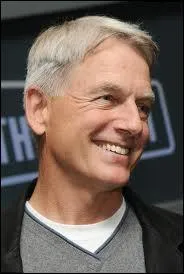Est-ce que je vais oser placer ce 'beau mec' malgr les ans qui s'accumulent sur ses paules, dans les seniors ? Il est le hros de NCIS, Leroy Jethro Gibbs.
