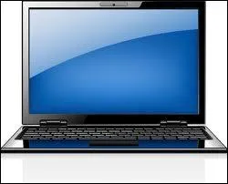 Quelle fille passe ses journes devant son ordinateur portable ?