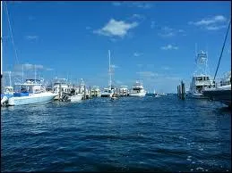 La 'marina' est un terme impropre, on devrait utiliser ?