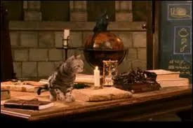 Qui se cache sous ce chat ?