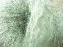 Le mot 'mohair' est d'origine... ?