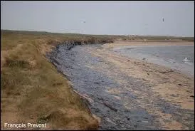 Le mot 'mazout' est d'origine... ?