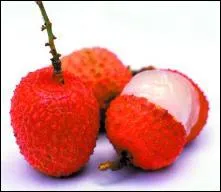 Le mot 'litchi' est d'origine... ?