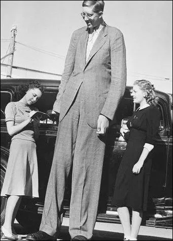 L'homme le plus grand ayant jamais existé s'appelait Robert Wadlow. Il est mort à 22 ans et grandissait encore ! Il mesurait...