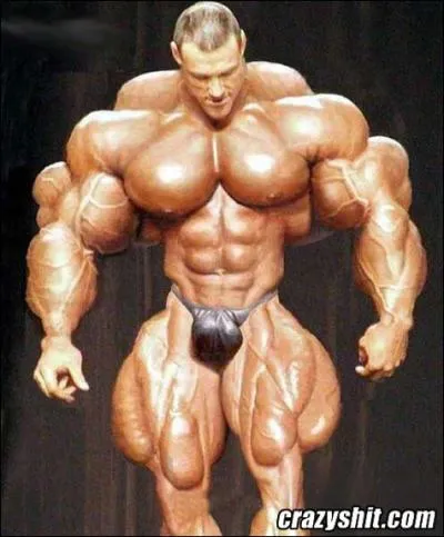 Quel acteur ''musclé'' est le plus grand ?