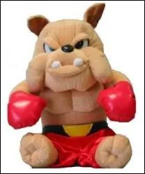 Quel boxeur est le plus petit ?