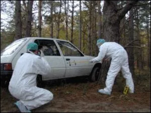 Des Techniciens en Investigation Criminelle (TIC) sont employs dans la police scientifique. Quel est leur surnom ?