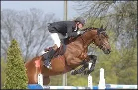 En 2005 il a t vainqueur du grand prix du ... . avec Ismene du Thot :