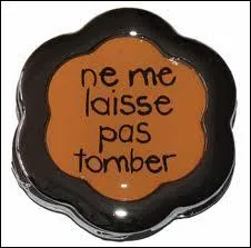 Qui chantait 'Si tu ne me laisses pas tomber' ?