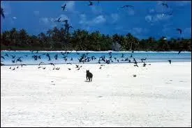 Qui chantait 'Je suis tomb pour elle' ?