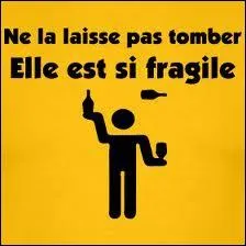 Qui chantait ' Ne la laisse pas tomber' ?