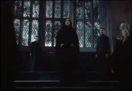 Qui sont les mangemorts autour de Severus Rogue qui ont t nomms professeurs par Voldemort dans le tome 7 ?