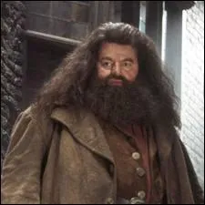 Quel est le nom du garde- chasse et professeur de soins aux cratures magiques ?