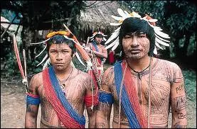 En Amazonie, ils parlent couramment la 6me langue la plus parle dans le monde ...