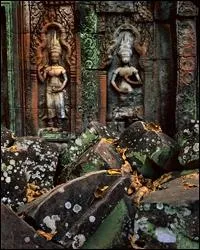 Dans ce pays, les serpents font entre 50 000 et 100 000victimes par an !