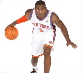 Qui est cet intrieur, 6 fois all-star (2005, 2007, 2008, 2009, 2010 et 2011), 9e de la draft 2002, rookie de l'anne en 2003 et ancien joueur des Phoenix Suns ?