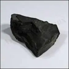 Quelle est cette gemme noire formée par la pression océanique sur du bois ?