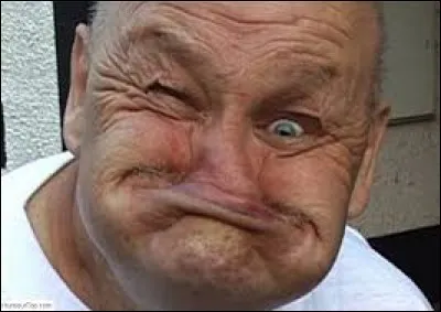 ''Il était si laid que quand il faisait des grimaces, il l'était moins.''