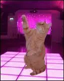 Qui a tu petite feuille lors du vol des petits ?