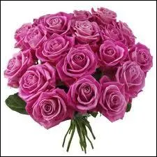 C'est un historien mdival, Gaston Paris, en 1883, qui a cr l'expression Amour courtois, lequel concept est ?